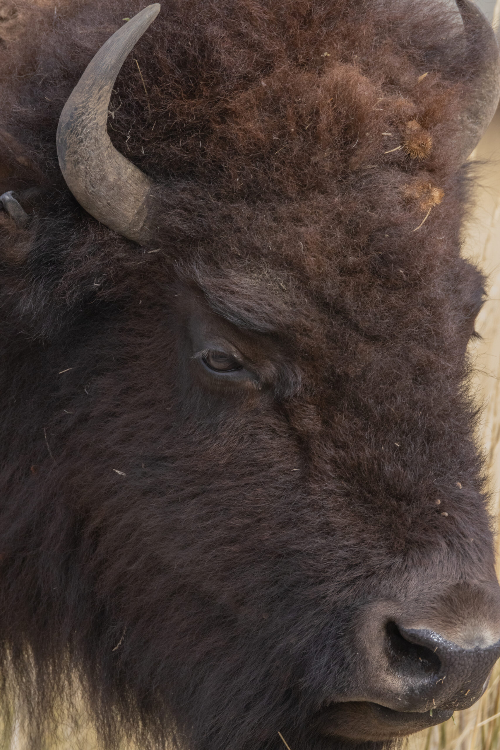 20221027-3P6A4338-scaled