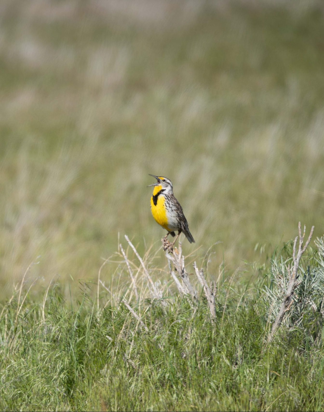 DSC01223-scaled-e1577647622997